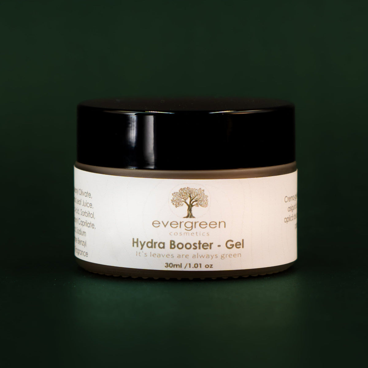 Hydra Booster - Evergreen Cosmetics